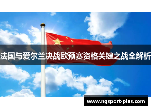 法国与爱尔兰决战欧预赛资格关键之战全解析