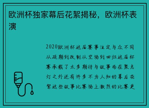 欧洲杯独家幕后花絮揭秘，欧洲杯表演